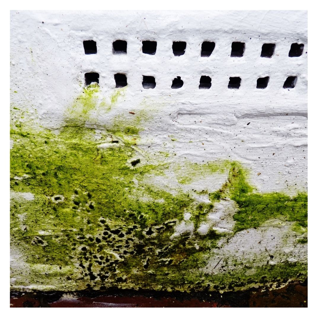 Mold
