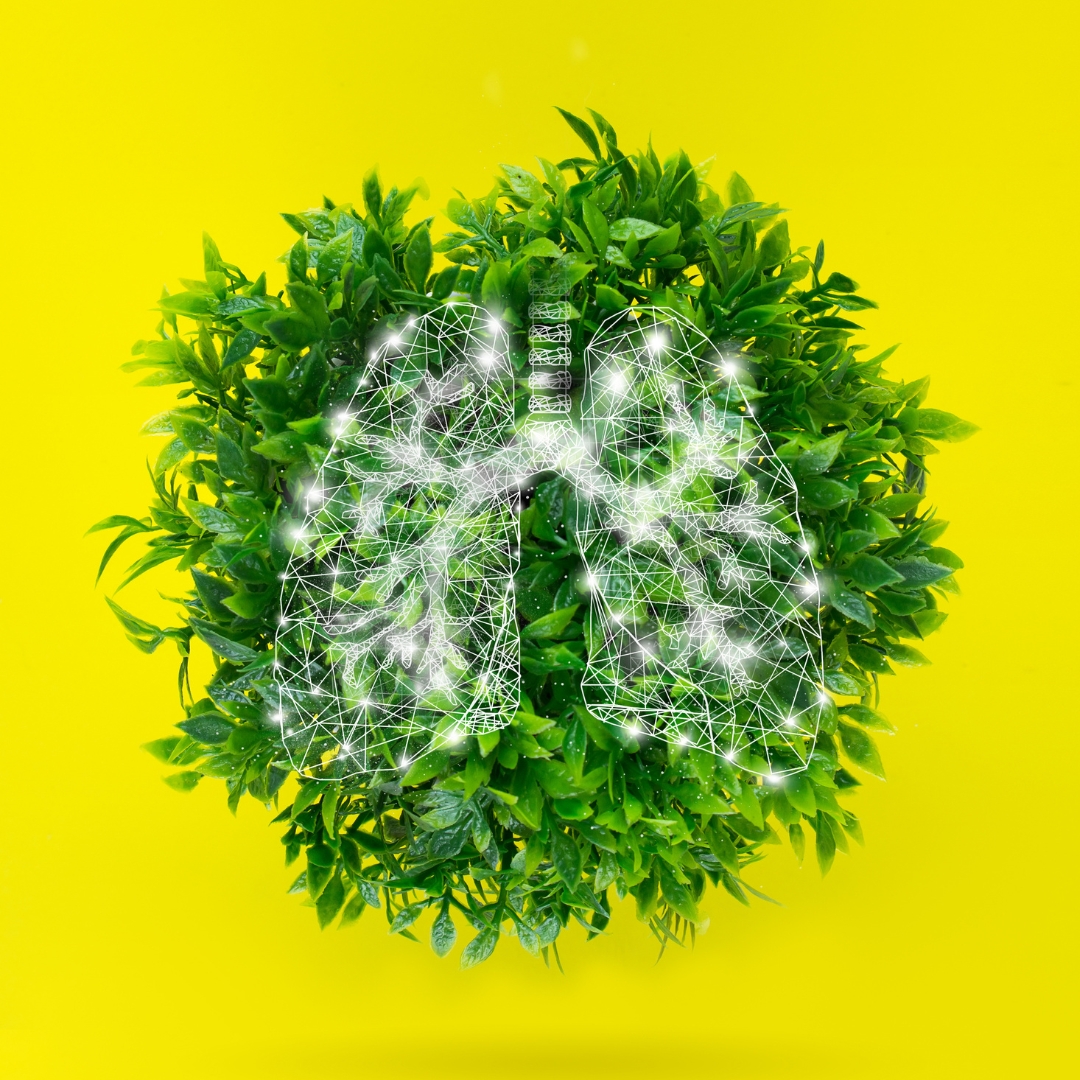 image of clean air